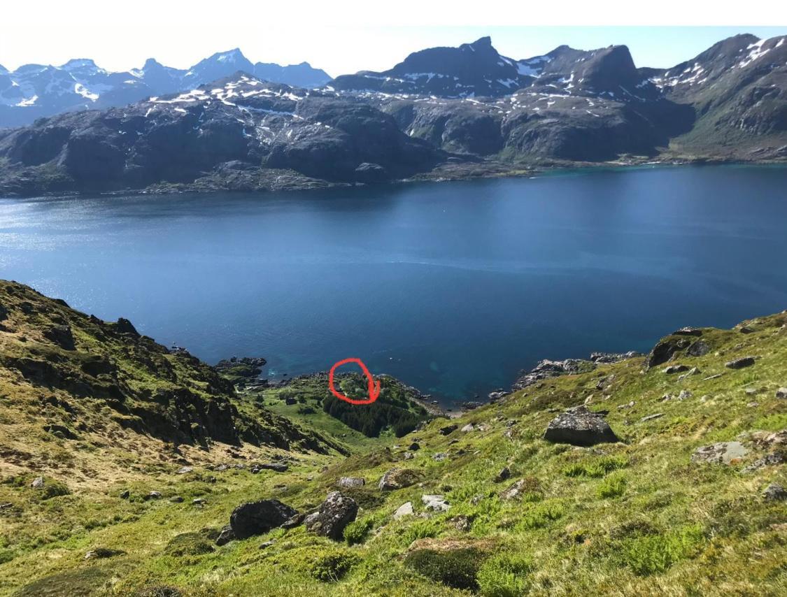 Vettinghytta, Close To The Sea With Amazing View. Gravdal  ภายนอก รูปภาพ