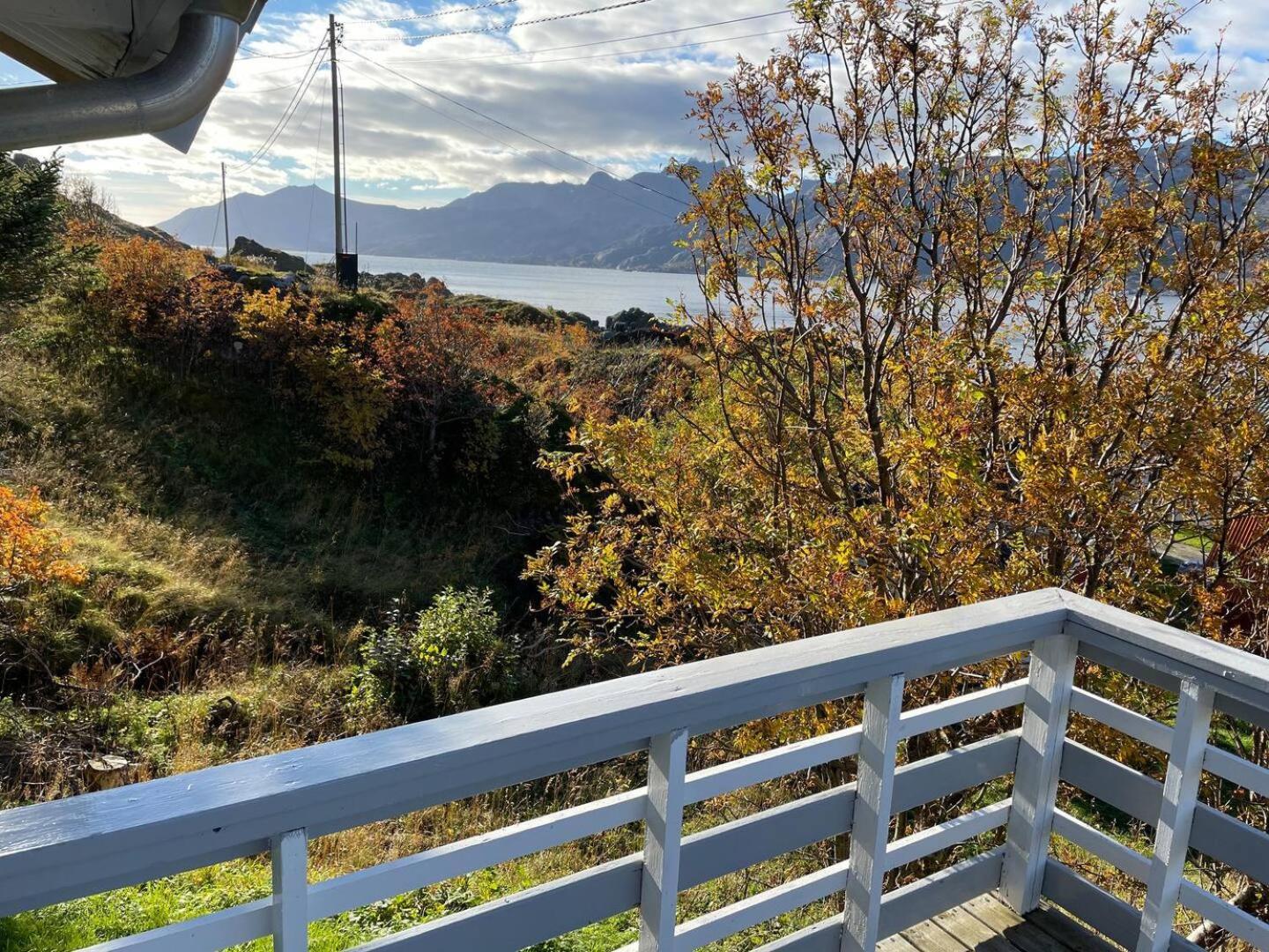 Vettinghytta, Close To The Sea With Amazing View. Gravdal  ภายนอก รูปภาพ
