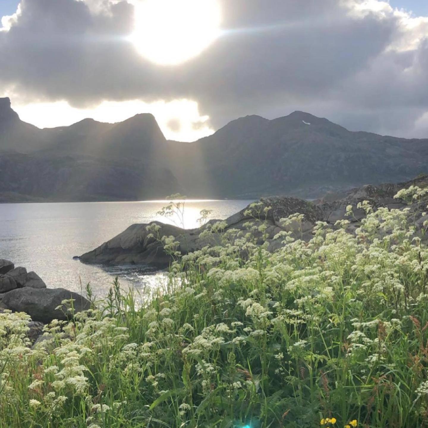 Vettinghytta, Close To The Sea With Amazing View. Gravdal  ภายนอก รูปภาพ